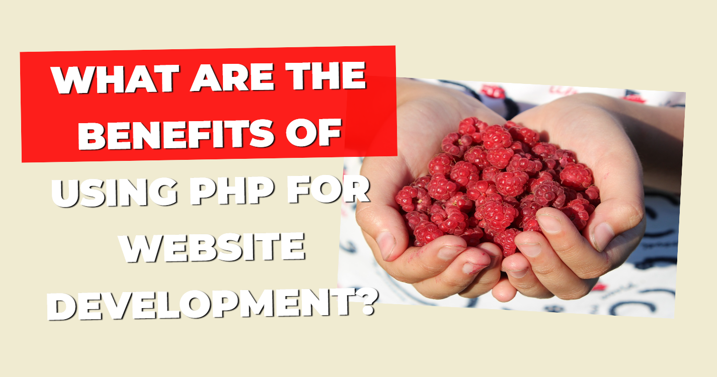 What are the Benefits of using PHP for Website Development?