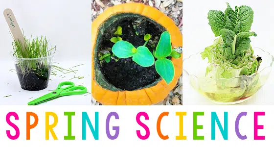 13 Best Science Activities for Preschoolers